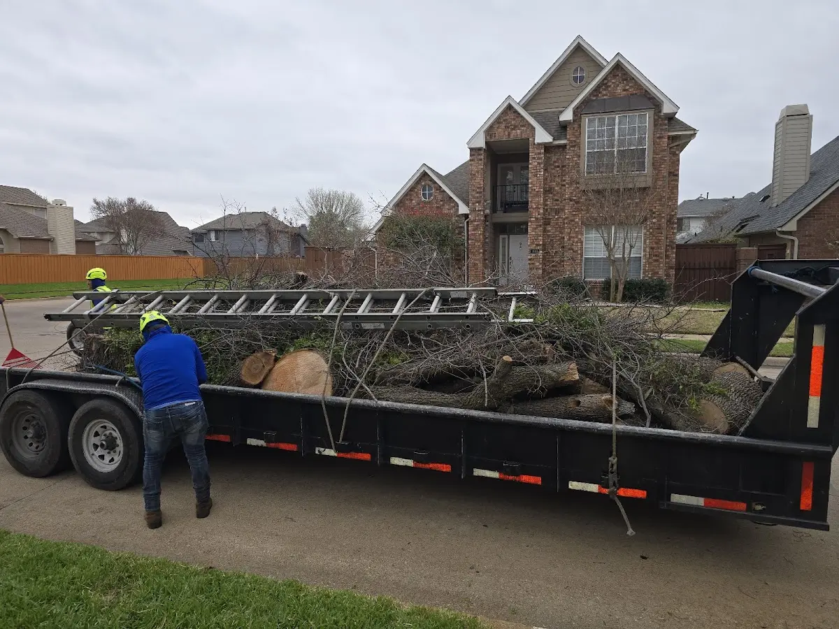 Expert Tree Removal with proper safety equipment in Bessemer